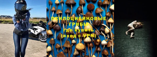 эйфоретик Алексеевка