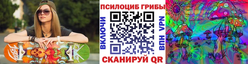 Псилоцибиновые грибы Cubensis Ахтырский